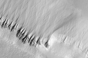 Gullied Polar Pits