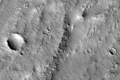 North Branch of Kasei Valles East of Labeatis Mensa