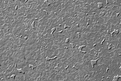 South Polar Residual Cap Site
