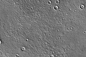 Monitoring Dust Devil Tracks