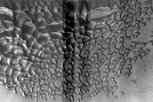 Dune Monitoring in Crater