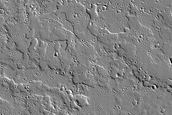 Terrain Sample