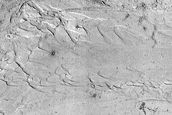 Lethe Vallis Features