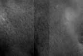 USGS Dune Database Entry Number 3134-707
