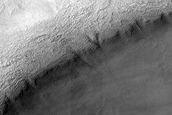 Terrain Sample