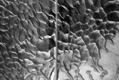 Dune Monitoring in Crater