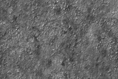 USGS Dune Database Entry Number 2306-623
