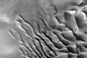 Dune Monitoring in Milankovic Crater