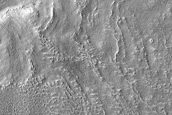 Gullied Crater