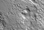 Terrain Sample