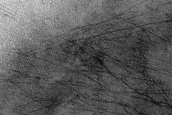 Terrain Sample