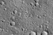 Nepenthes Planum