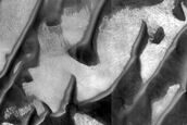 USGS Dune Database Entry Number 0104-584