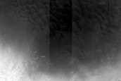 Dune Monitoring in Crater
