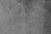 Recent Impact Site