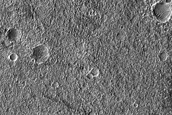 Unit Contact with Lobate Margin