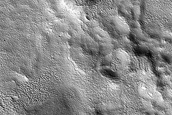 Terrain Sample