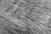 South Polar Perennial Ice Outlier Monitoring