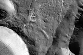 Terrain Sample
