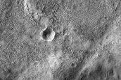 Terrain Sample
