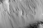 Resistant Material in Olympus Mons Aureole Ridges