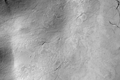 Gully Monitoring