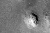 Terrain Sample