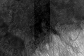 USGS Dune Database Entry Number 1339-688