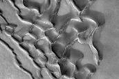 Dune Monitoring in Crater