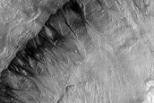 Dense East Facing Gullies
