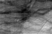 Gullies in Crater in Noachis Terra