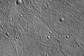 Terrain Sample