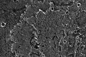 Inflated Lava Flows in Daedalia Planum