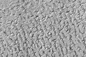 Possible Exposure of South Polar Layered Deposits