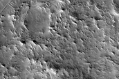 Ridge Network in Northern Mid-Latitudes