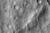 Terrain Sample