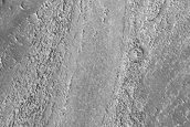 Athabasca Valles Distributary