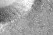 Terrain Sample
