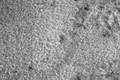 Seasonal Monitoring South of Pityusa Patera