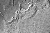 Gullies in Crater West of Newton Crater