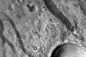 Meandering Channels in Newton Crater