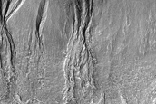 Gullies in Crater