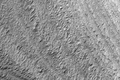 Basal Exposure of South Polar Layered Deposits