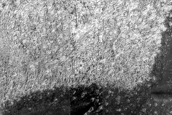 South Polar Region Cryptic Terrain Margin Monitoring in Main Crater