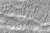 South Polar Remnant Cap
