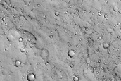 Terrain Sample