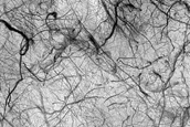 Dark Filamentary Streak Year-Round Monitor Site in Promethei Terra