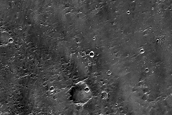 Terrain West of Tyrrhena Mons