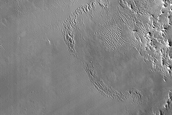 Inverted Fluvial Ridge with Complex Structure