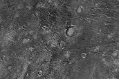 Terrain Sample